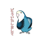コザクラインコ好きスタンプ2 ブルー系Ver.（個別スタンプ：11）