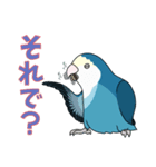コザクラインコ好きスタンプ2 ブルー系Ver.（個別スタンプ：13）