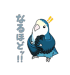 コザクラインコ好きスタンプ2 ブルー系Ver.（個別スタンプ：14）