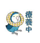 コザクラインコ好きスタンプ2 ブルー系Ver.（個別スタンプ：16）