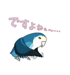 コザクラインコ好きスタンプ2 ブルー系Ver.（個別スタンプ：20）