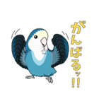 コザクラインコ好きスタンプ2 ブルー系Ver.（個別スタンプ：21）