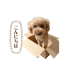 アポチャンスタンプ（個別スタンプ：2）