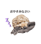 アポチャンスタンプ（個別スタンプ：3）