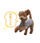 アポチャンスタンプ（個別スタンプ：4）