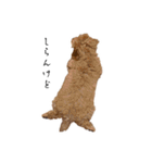 アポチャンスタンプ（個別スタンプ：25）