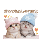 スコティッシュ猫 雪の結晶ニット 冬 敬語（個別スタンプ：26）