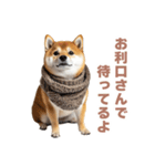 毎日使える実写しば犬【連絡・かわいい】（個別スタンプ：3）