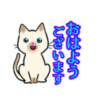 【保護猫】ビジネス向き？【日常会話も！】（個別スタンプ：1）