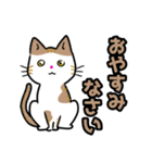 【保護猫】ビジネス向き？【日常会話も！】（個別スタンプ：2）