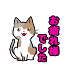 【保護猫】ビジネス向き？【日常会話も！】（個別スタンプ：4）