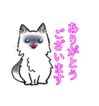 【保護猫】ビジネス向き？【日常会話も！】（個別スタンプ：5）