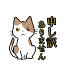 【保護猫】ビジネス向き？【日常会話も！】（個別スタンプ：6）