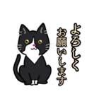 【保護猫】ビジネス向き？【日常会話も！】（個別スタンプ：7）