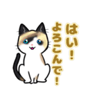 【保護猫】ビジネス向き？【日常会話も！】（個別スタンプ：12）