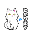 【保護猫】ビジネス向き？【日常会話も！】（個別スタンプ：13）