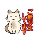 【保護猫】ビジネス向き？【日常会話も！】（個別スタンプ：15）