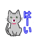 【保護猫】ビジネス向き？【日常会話も！】（個別スタンプ：16）