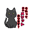 【保護猫】ビジネス向き？【日常会話も！】（個別スタンプ：19）