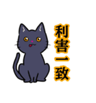 【保護猫】ビジネス向き？【日常会話も！】（個別スタンプ：20）