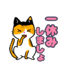 【保護猫】ビジネス向き？【日常会話も！】（個別スタンプ：22）