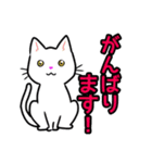 【保護猫】ビジネス向き？【日常会話も！】（個別スタンプ：26）