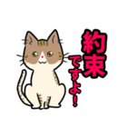 【保護猫】ビジネス向き？【日常会話も！】（個別スタンプ：32）