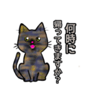 【保護猫】ビジネス向き？【日常会話も！】（個別スタンプ：33）