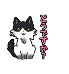 【保護猫】ビジネス向き？【日常会話も！】（個別スタンプ：34）