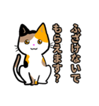 【保護猫】ビジネス向き？【日常会話も！】（個別スタンプ：38）