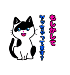 【保護猫】ビジネス向き？【日常会話も！】（個別スタンプ：39）