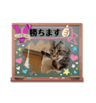 フィガロ＆チロル3（個別スタンプ：1）