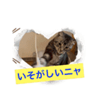 フィガロ＆チロル3（個別スタンプ：9）