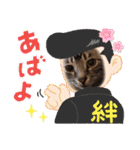 フィガロ＆チロル3（個別スタンプ：13）