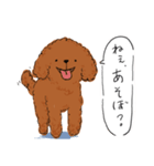 犬の気持ち♡トイプー・レッド（個別スタンプ：12）