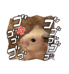 毎日まるといっしょ（個別スタンプ：14）