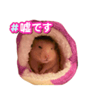 毎日まるといっしょ（個別スタンプ：29）