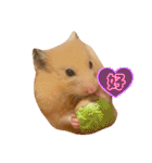 毎日まるといっしょ（個別スタンプ：32）