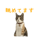 黄油と一緒（個別スタンプ：1）