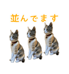 黄油と一緒（個別スタンプ：2）