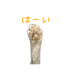 黄油と一緒（個別スタンプ：3）
