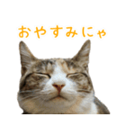 黄油と一緒（個別スタンプ：4）