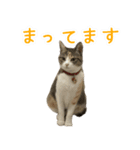 黄油と一緒（個別スタンプ：8）