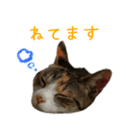 黄油と一緒（個別スタンプ：10）