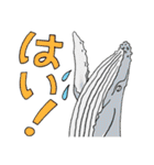 ベルーガと仲間たち 2（個別スタンプ：27）