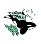 ベルーガと仲間たち 2（個別スタンプ：28）