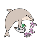 ベルーガと仲間たち 2（個別スタンプ：34）