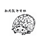筆画（個別スタンプ：6）