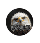 お鷹さんのお言葉（個別スタンプ：12）