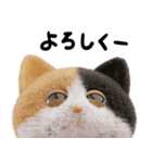 ネコねこ⑥ねむねむモード（個別スタンプ：6）